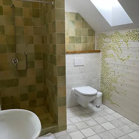 Guest house Kovarna 3*